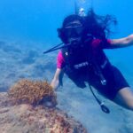 Natalie Burn Instagram - Exploring the unknown… Scuba Diving 🤿 Under the Sea 🦀🌊💙🩵 #corfu #greece #scubadiving Scroll 👈