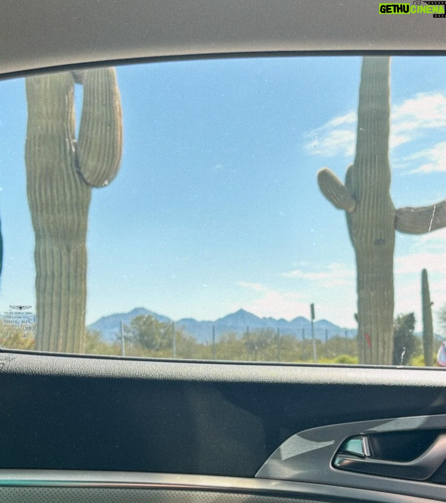 Natalie Cuomo Instagram - Chandler, Arizona Thursday - Saturday @micdropmania_az ! 🌵 5 shows! 🌵 here are some photos from the last time I was in Arizona. Excited to see everyone! 💗 Ticket link in bio