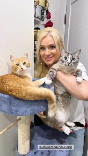 Nataliya Gulkina Instagram - Многие просят почаще выставлять моих котиков, и я действительно давно этого не делала, так что всем воскресный привет от нашего дружного и счастливого детского сада🚸🚸🚸👦🏼👧🏼👨‍👨‍👧‍👧👨‍👨‍👧‍👧🧒👶🏼🌞🌞🩷🩷🩷🩷🩷🩷🩷🩷🩷🩷🩷🩷🩷🩷

#котынаталиигулькиной