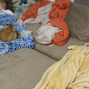 Natalya Mogilenets Instagram - 24 лютого – день, який змінив життя кожного українця, день який назавжди залишиться в нашій пам’яті💔 2 роки болю і горя, але боротьби за свободу та життя… Памʼятаю усе, як зараз…Відчуття страху та тривоги, нерозуміння та сльози! 
ВІЙНА! Мозок відчайдушно пручався проти реальності. 
На фото Мартін і Даша…Наша перша ніч у підвалі…На ранок всі прокинулись від вибуху будинку напроти…

Дякую нашим героям🙏🏻
Саме завдяки нашим захисникам і захисницям Україна стоїть міцно, бореться й живе… І вічна памʼять тим воїнам, які віддали своє життя, захищаючи нас і наших дітей🙏🏻💛💙