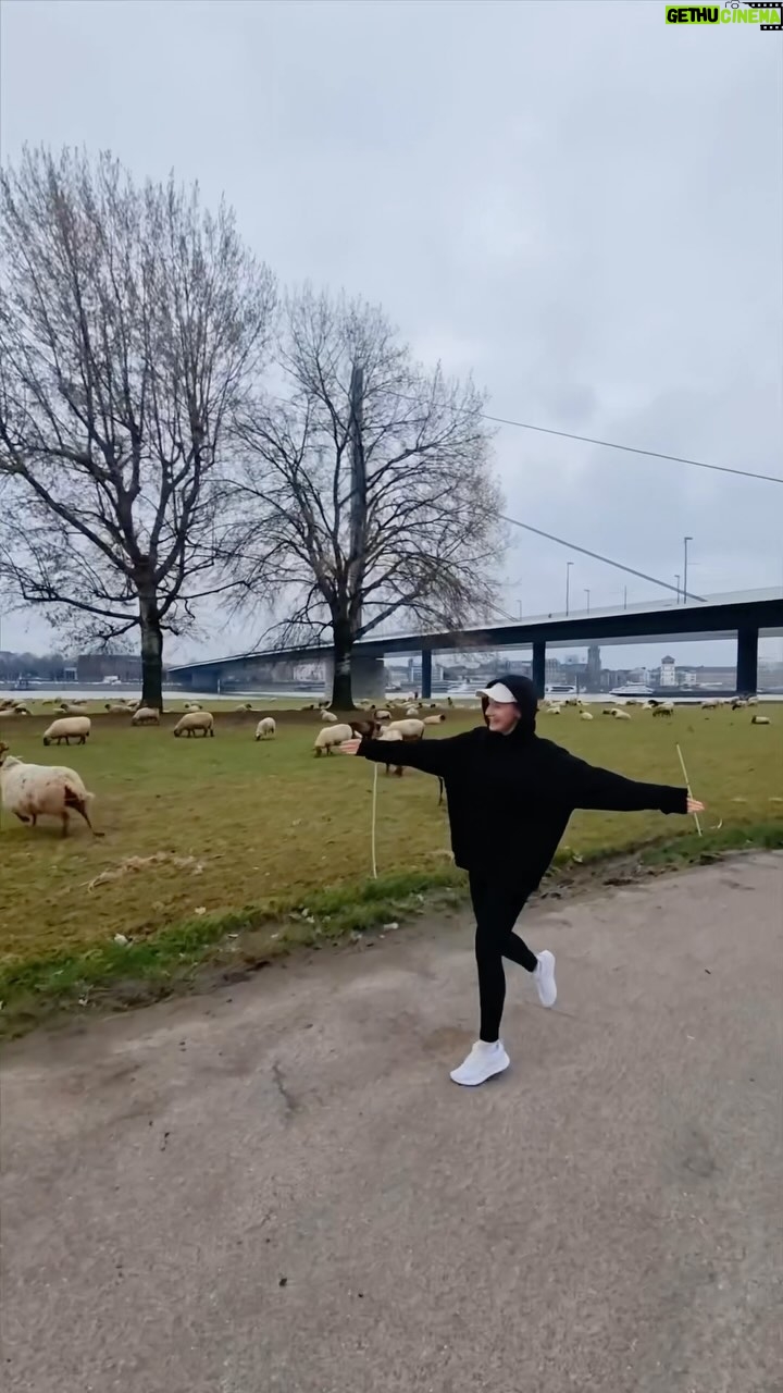 Natalya Mogilenets Instagram - Зустріла своїх😂🐑Відміть свою найкращу подружку, може вона також тут🙏🏻🤣