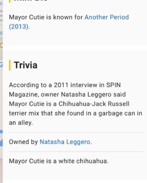 Natasha Leggero Instagram - Thank you to Chihuahua/actress mayor cutie for blessing us with her presence all these years.  When we found you in an alley and took you to the groomers to see if we could clean you up and try to find you a home the groomer said “they find YOU honey”. I’m iso glad we kept you &  I was able to be with you on your journey to stardom and thank you for always letting me put wigs and hats on you and for always knowing your lines. When I had a baby I used to pray that I would love it as much as I loved you.  You are worth having to resurface my hard wood floors due to senior incontinence it was just so hard to put you down because you never lost your looks 💖