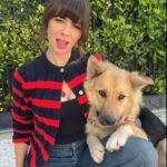 Natasha Leggero Instagram – Finally got a killer dog