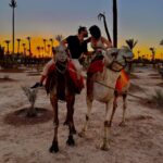 Nathalie Andreani Instagram – 🐪🐪🐪