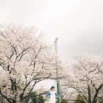 Natsume Mito Instagram – 🐘
photo @shibazakimadoka