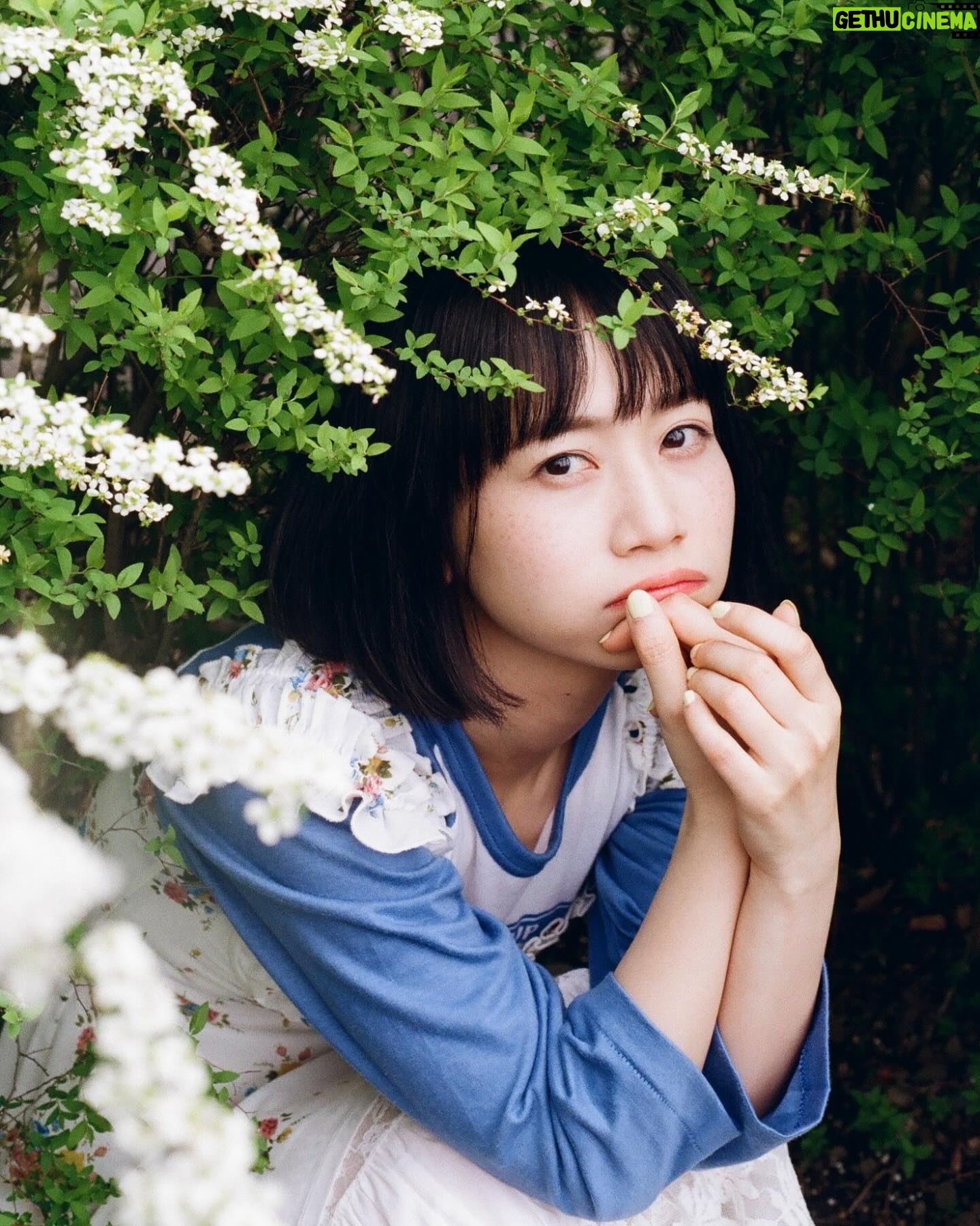 Natsume Mito Instagram - πΈπ·γ photo @shibazakimadoka #mito_natsume