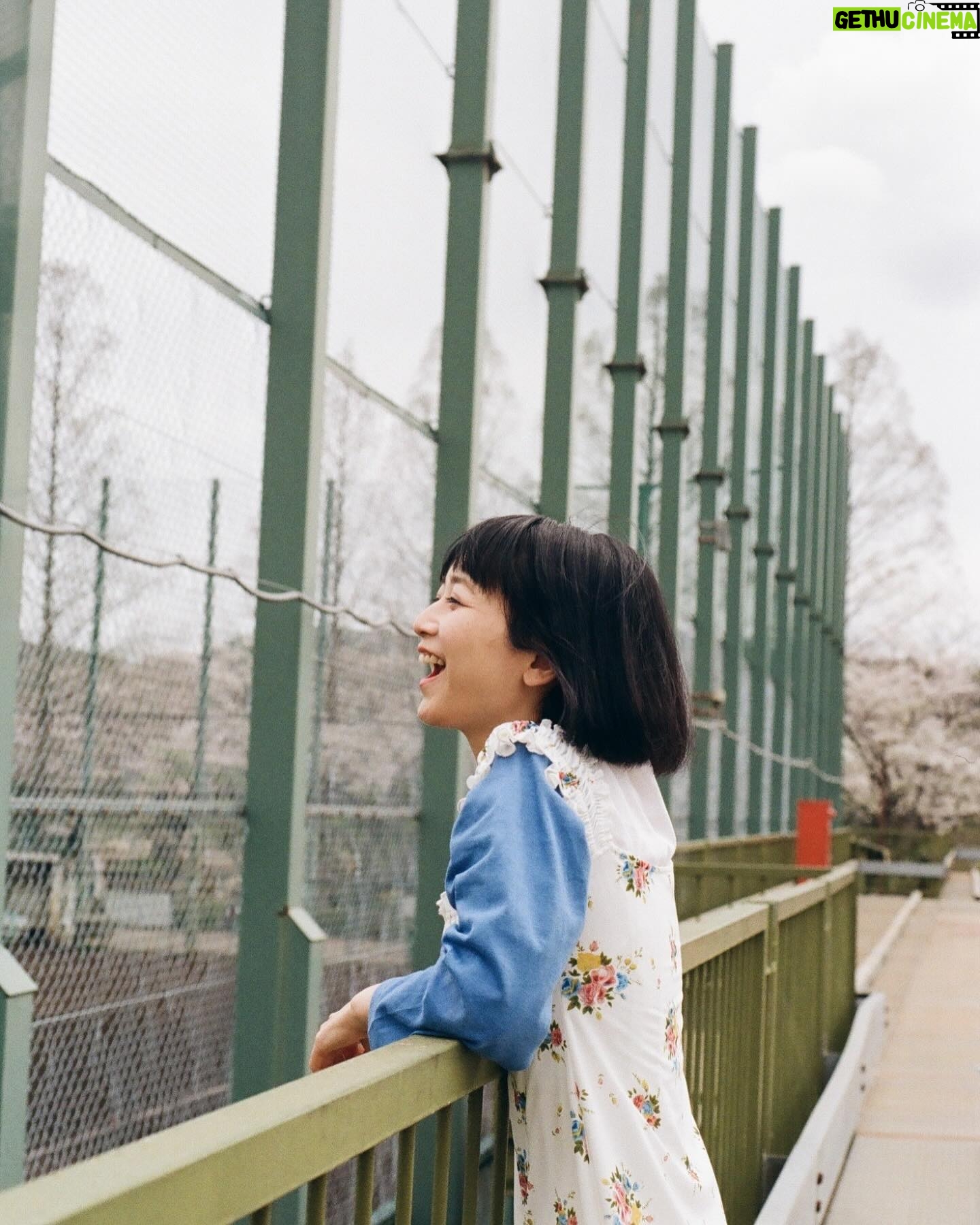 Natsume Mito Instagram - 🌸📷 photo @shibazakimadoka #mito_natsume