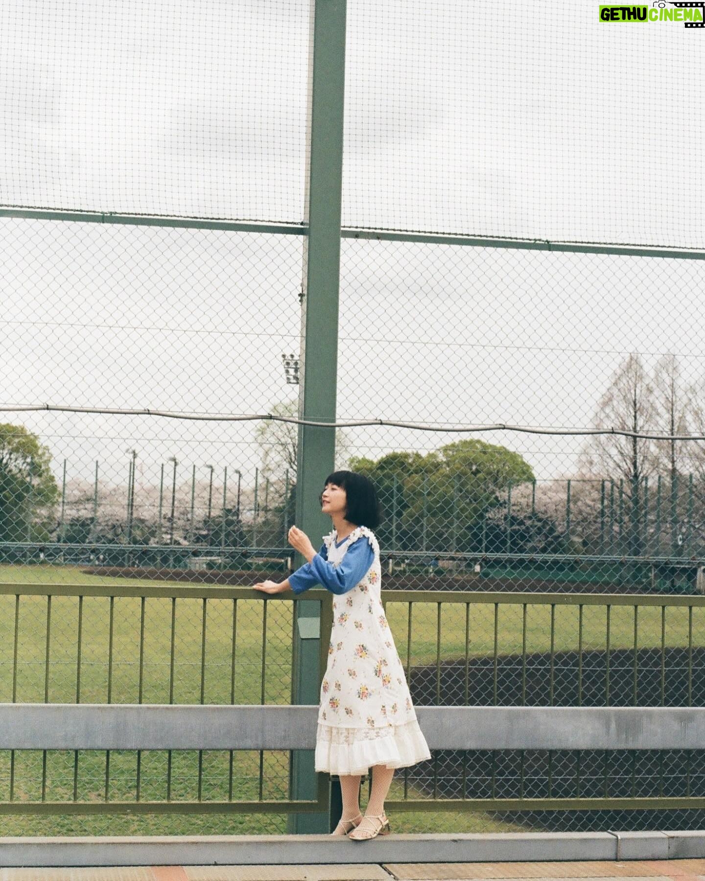 Natsume Mito Instagram - 🌸📷 photo @shibazakimadoka #mito_natsume