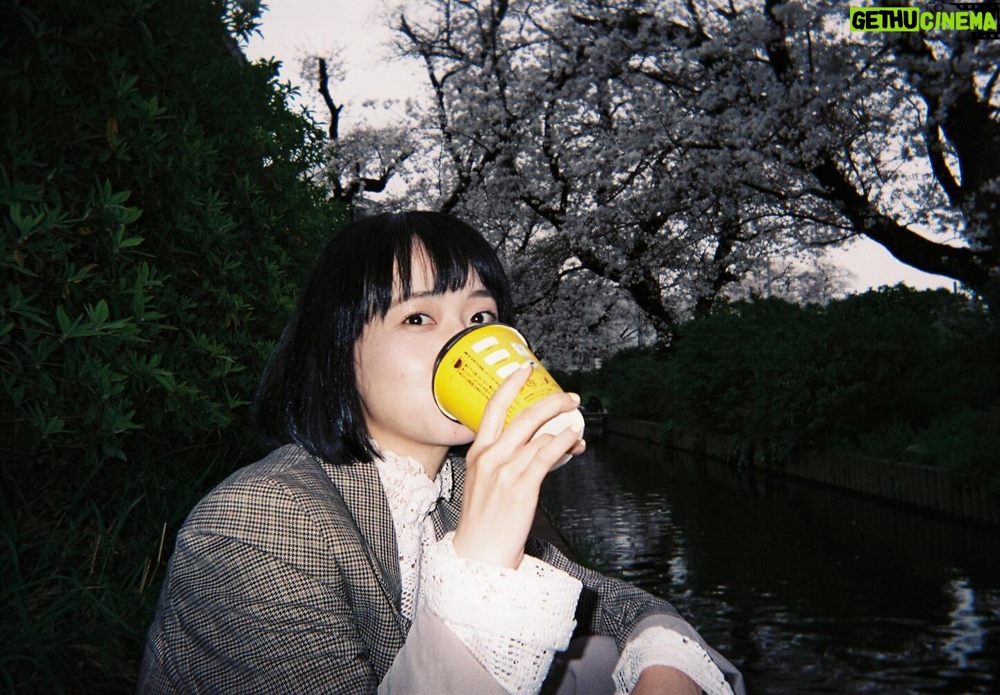 Natsume Mito Instagram - 最近のわたし4品 #写るんです #fujifilm #mito_natsume