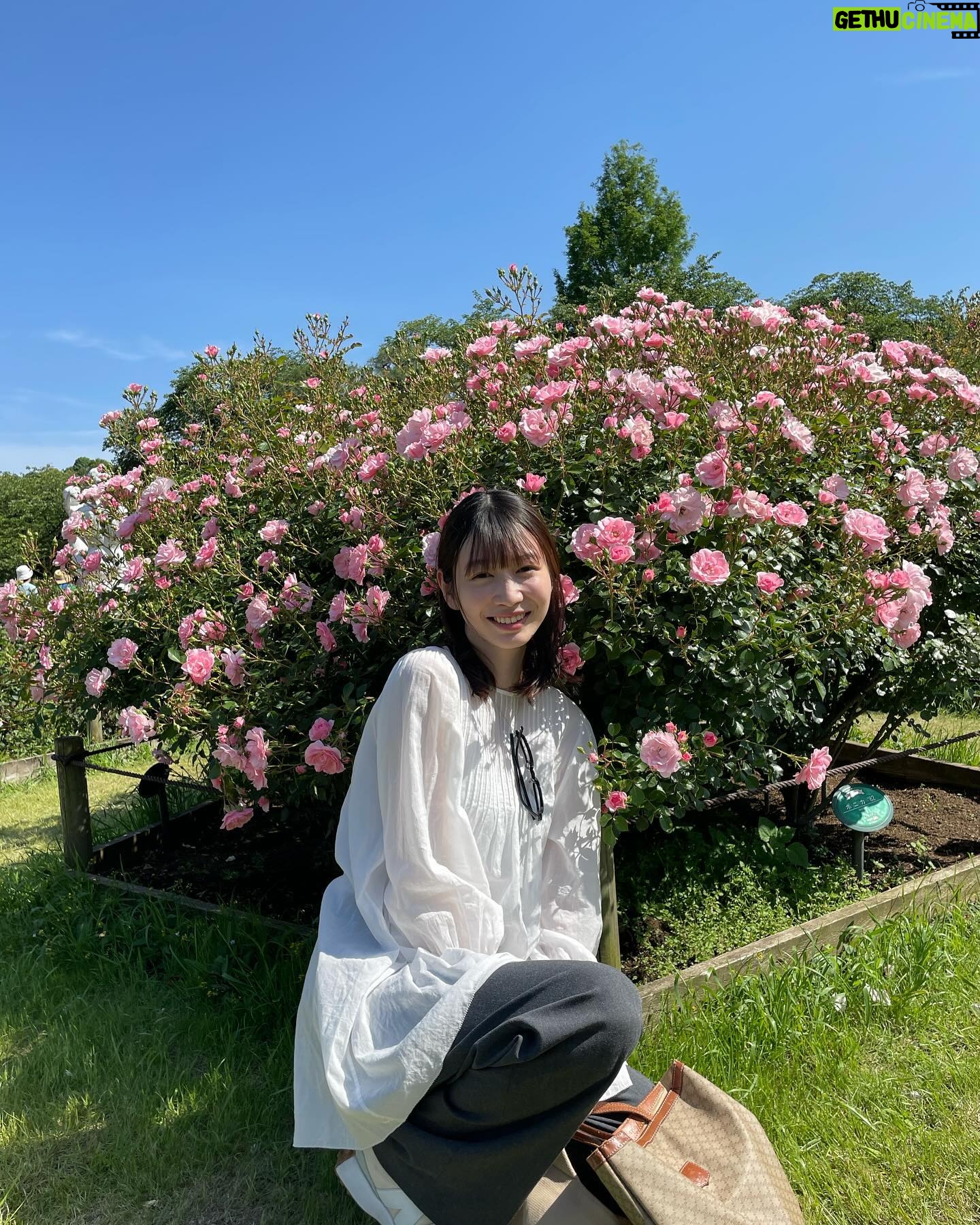 Natsumi Okamoto - 3 Likes - 年々好きになる、お花
おやすみ?