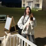 Nattamon Chokejindachai Instagram - ก็เห็นพี่ชอบสัตว์ ละหนูติดหมัดไม่ชอบบ้างอ่อ โห่่