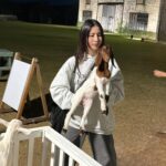 Nattamon Chokejindachai Instagram - ก็เห็นพี่ชอบสัตว์ ละหนูติดหมัดไม่ชอบบ้างอ่อ โห่่