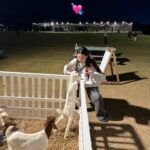 Nattamon Chokejindachai Instagram - ก็เห็นพี่ชอบสัตว์ ละหนูติดหมัดไม่ชอบบ้างอ่อ โห่่