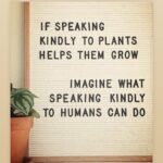 Nausheen Ali Sardar Instagram – It’s just simple…plain…love and kindness… (When no one is looking)