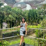 Nayana Elza Instagram - This view never gets old 🙌 . . . . . . . . . . . . . . . . . . #travel #singapore #solotravel #instadaily #picoftheday #nayanaelza #gardensbythebay
