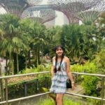 Nayana Elza Instagram - This view never gets old 🙌 . . . . . . . . . . . . . . . . . . #travel #singapore #solotravel #instadaily #picoftheday #nayanaelza #gardensbythebay