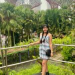 Nayana Elza Instagram - This view never gets old 🙌 . . . . . . . . . . . . . . . . . . #travel #singapore #solotravel #instadaily #picoftheday #nayanaelza #gardensbythebay