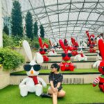 Nayana Elza Instagram - Bunny says, “Hello!🤓” . . . . Birthday (Oct) travel diaries… solo travel dairies 🙌 . . . . . . . . . . . . . . . . . . . . . . #travel #solotravel #singapore #sentosa #bunnies #traveldiaries #traveler #nayanaelza #instadaily #instaphoto #instatravel #memories #moment #creator #sentosaisland