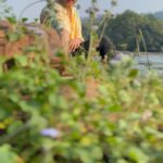 Nayana Elza Instagram – 🐝 🌼
.
.
.
.
.
.
.
.
.
.
#reelitfeelit #kerala #mansoon #water #athirapally #reelsinstagram #viral #reels
