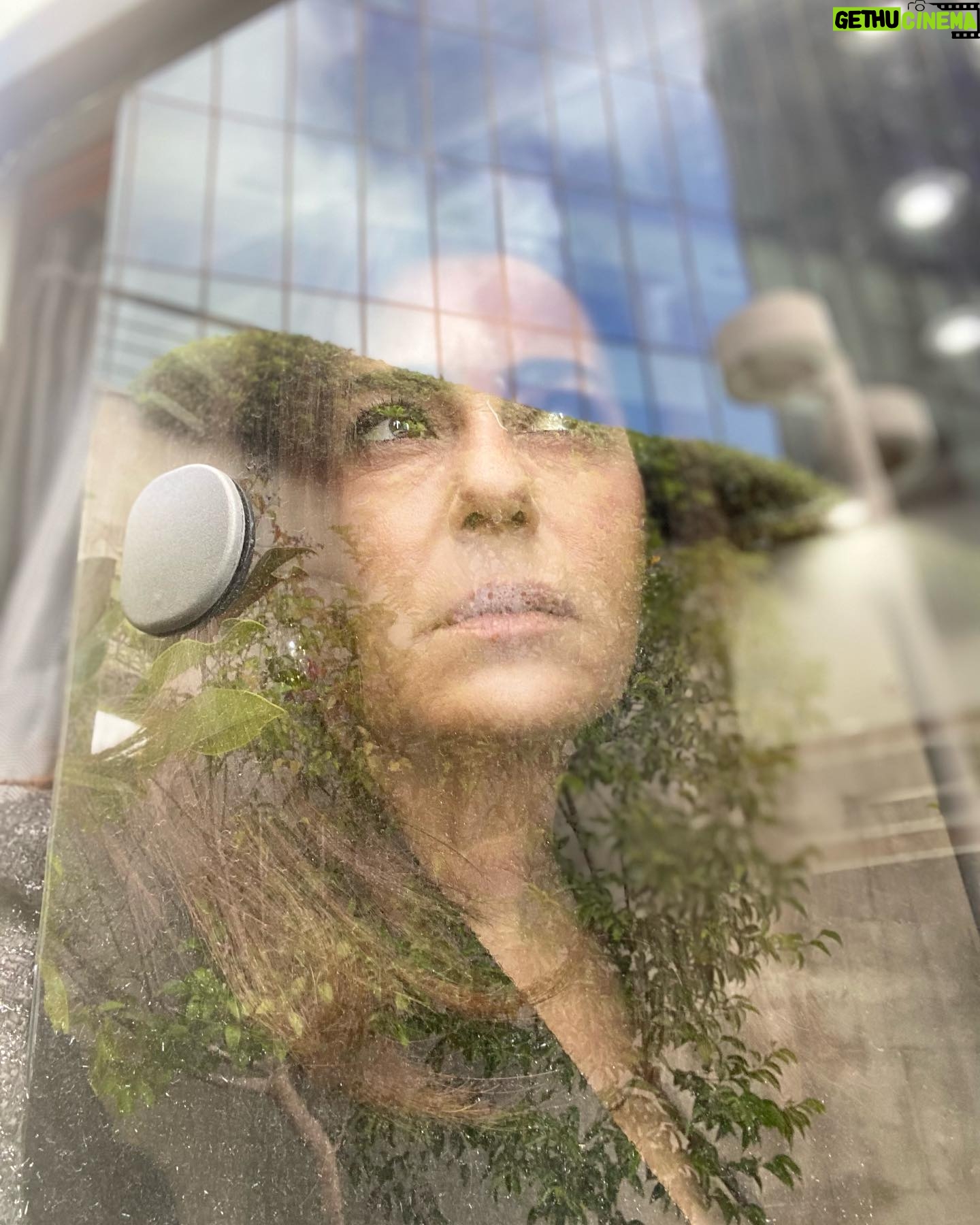 Nazan Kesal Instagram - #yansımalar DENGE Sizin alınız al inandım Sizin morunuz mor inandım Tanrınız büyük amenna Şiiriniz adamakıllı şiir Dumanı da caba Bütün ağaçlarla uyuşmuşum Kalabalık ha olmuş ha olmamış Sokaklarda yitirmiş cebimde bulmuşum Ama sokaklar şöyleymiş Ağaçlar böyleymiş Ama sizin adınız ne Benim dengemi bozmayınız Aşkım da değişebilir gerçeklerim de Pırıl pırıl dalgalı bir denize karşı Yangelmişim diz boyu sulara Hepinize iyiniyetle gülümsüyorum Hiçbirinizle dövüşemem Benim bir gizli bildiğim var Sizin alınız al inandım Morunuz mor inandım Ben tam kendime göre Ben tam dünyaya göre Ama sizin adınız ne Benim dengemi bozmayınız Turgut Uyar❤️🙏🏻