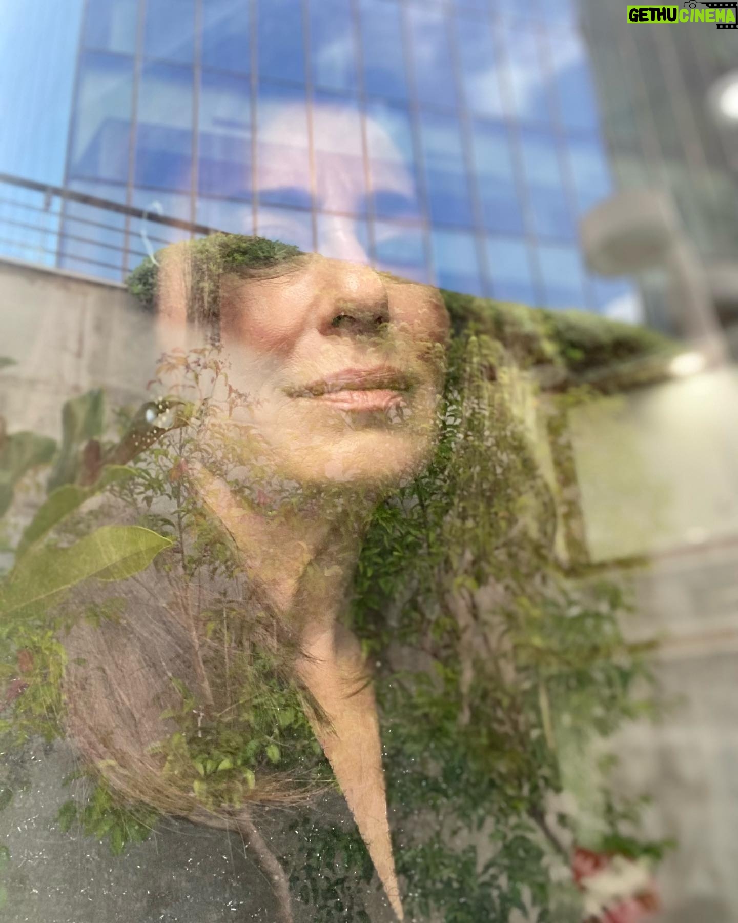 Nazan Kesal Instagram - #yansımalar DENGE Sizin alınız al inandım Sizin morunuz mor inandım Tanrınız büyük amenna Şiiriniz adamakıllı şiir Dumanı da caba Bütün ağaçlarla uyuşmuşum Kalabalık ha olmuş ha olmamış Sokaklarda yitirmiş cebimde bulmuşum Ama sokaklar şöyleymiş Ağaçlar böyleymiş Ama sizin adınız ne Benim dengemi bozmayınız Aşkım da değişebilir gerçeklerim de Pırıl pırıl dalgalı bir denize karşı Yangelmişim diz boyu sulara Hepinize iyiniyetle gülümsüyorum Hiçbirinizle dövüşemem Benim bir gizli bildiğim var Sizin alınız al inandım Morunuz mor inandım Ben tam kendime göre Ben tam dünyaya göre Ama sizin adınız ne Benim dengemi bozmayınız Turgut Uyar❤️🙏🏻
