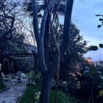 Nazlı Bulum Instagram - Ada. Filtre yok. Her şey kendi ışığı