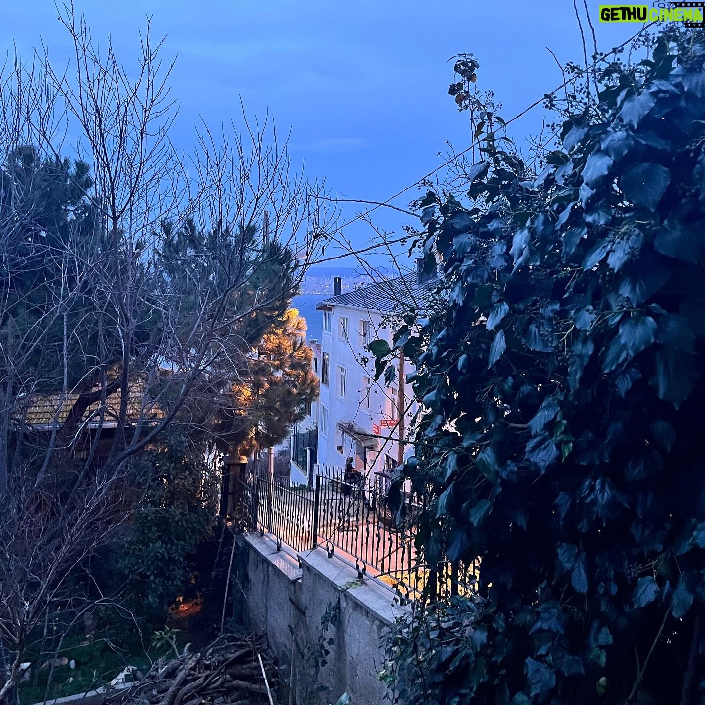 Nazlı Bulum Instagram - Ada. Filtre yok. Her şey kendi ışığı