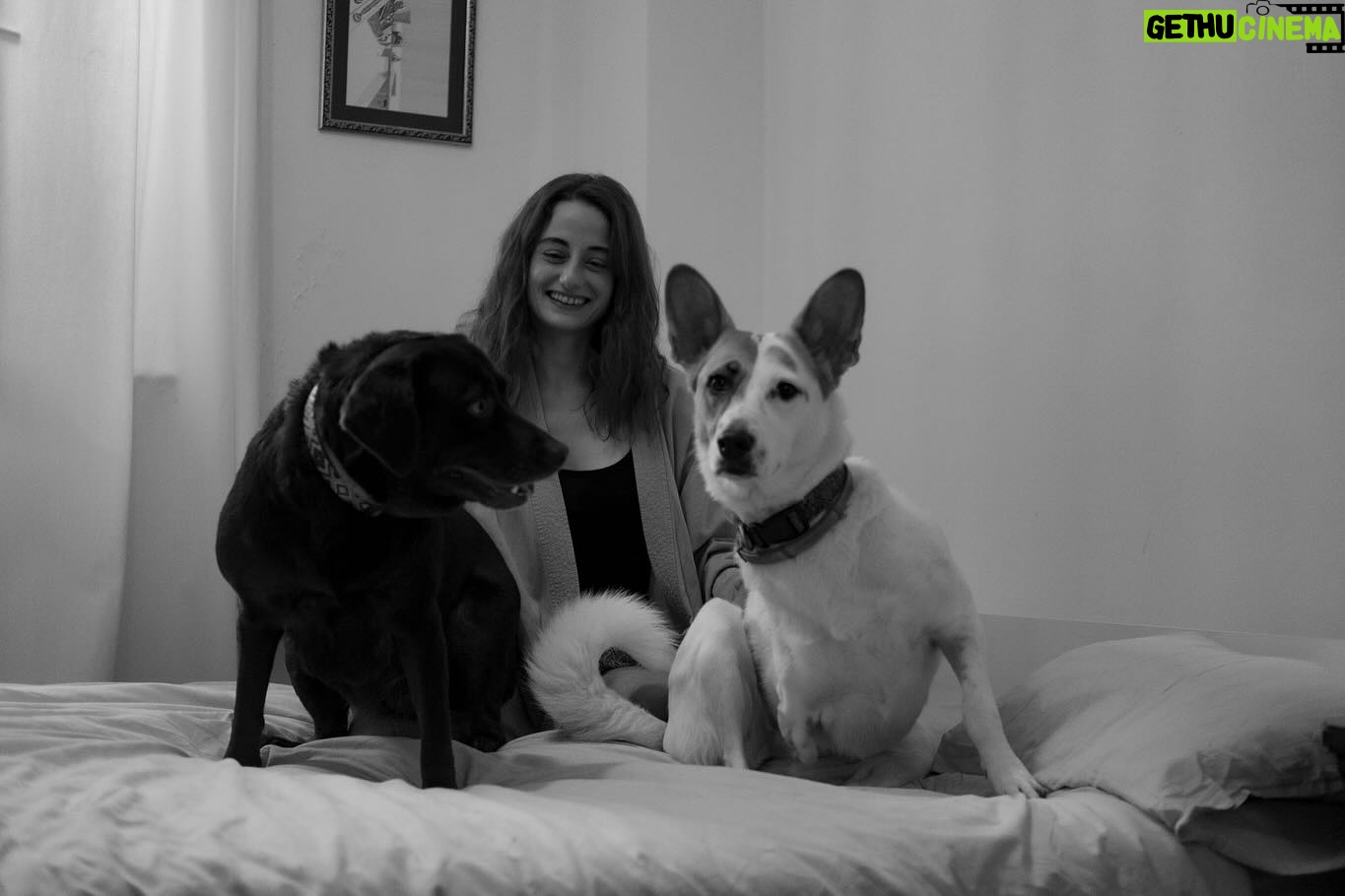 Nazlı Bulum Instagram - @uzumphoto & my baby girls🫠