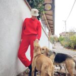 Nazlı Senem Ünal Instagram - Bir köpek size sevginin gerçek anlamını öğretecek.. @okanerkmen 📸