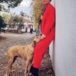 Nazlı Senem Ünal Instagram - Bir köpek size sevginin gerçek anlamını öğretecek.. @okanerkmen 📸