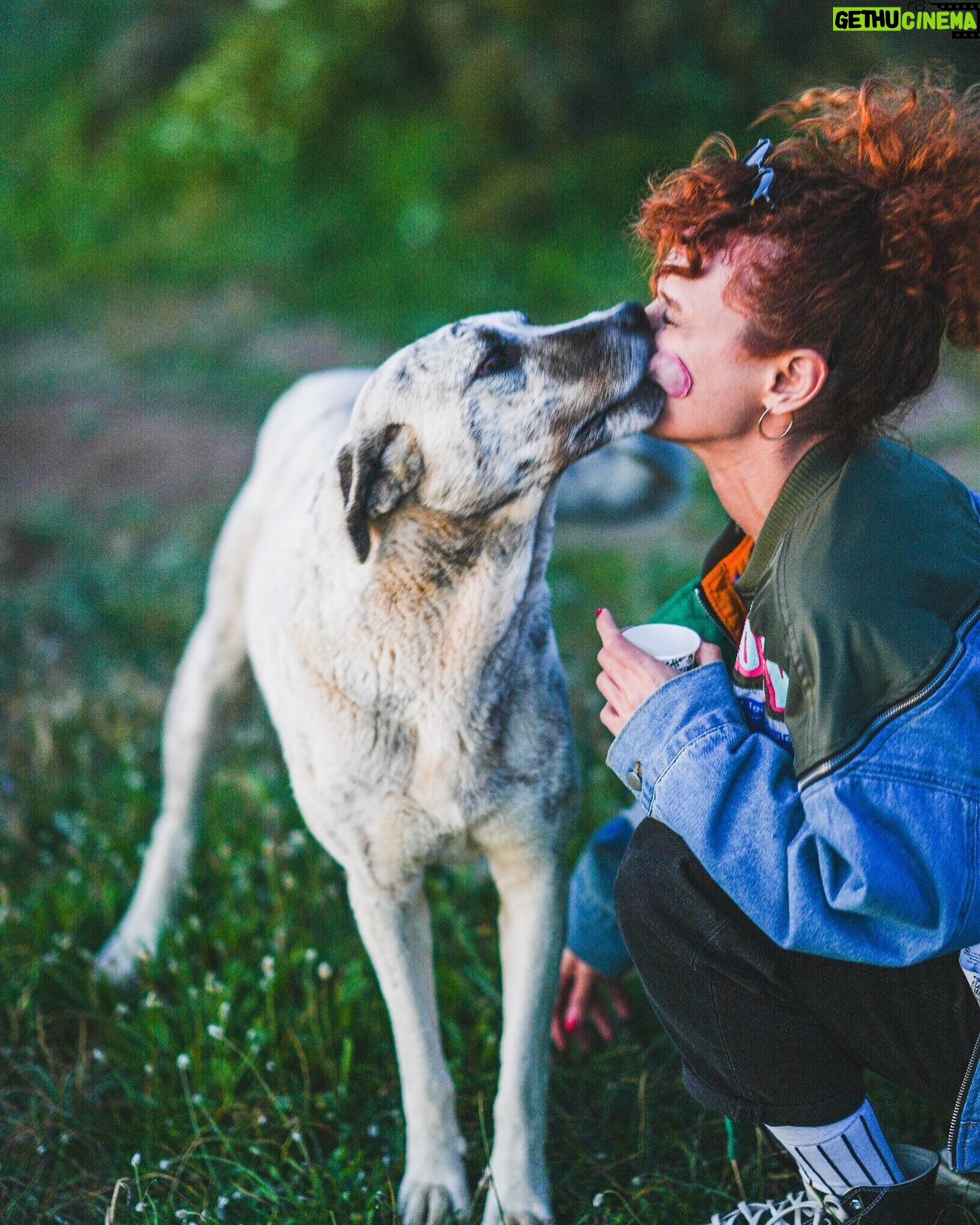Nazlı Senem Ünal Instagram - Çabuk 2. fotoğrafa bakın, ÇABUK !!!!