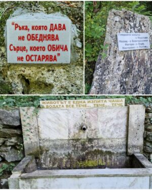 Neda Spasova Instagram - Годишният индивидуален #hiking е осъществен - 'одиш си сам в планината, кат' муха без глава и от време на време си говориш сам, а понякога си и отговаряш. Но "годишен индивидуален hiking" звучи сериозно, като някаква мисия. 😂 
Резерват "Червената стена" и екопътеката "Зелената пътека" над Бачковския манастир са супер! Влязох в трите параклиса в гората на резервата. Там имаше свещи и кибрит, спокойно да си седнеш, да си запалиш свещ, да си помислиш и да си помълчиш.
"Зелената пътека" е спокойна, лесно проходима и тиха. Има чешми и много места за отдих. За съжаление Бачковският водопад беше пресъхнал. Трите горски параклиса - "Св. ВМЧН Георги", "Аязмо" и "Св. Архангел Михаил" са чудни, но по стара бг традиция - част от тях са пострадали от ръчичките на хората - ръчно изрисуваните стенописи са издраскани с глупости... 
В двора на Аязмо има два чинара и двата на възраст от над 300 години. 🌳❤️ 
Бях тръгнала към върха "Червената стена", но уви - късно разбрах, че този път от "Зелената пътека" не е предпочитан - стръмен, опасен и доста непроходим. Та след половин час катерене по склонове се отказах. Общо взето разходката (около час) завършва при пещерата "Клувията" - къщичка в скалите, до която се стига по стълби, увиващи се около скалите. Четох, че според една легенда монасите от Бачковския манастир са скрили в тази "пещера" ценна икона на Света Богородица, преди опустошително нападение от турците и иконата била намерена много по-късно от овчар и върната в манастира.  
Въпреки оборудването ми с дебел прът, който да ме пази от змии, лъвове, дракони и най-вече извънземни - животинки в проходимата част, освен птици, няма. Всички бягат от хората, защо ли... 😉
Чудна е тази Зелена пътека! С доволна мускулна треска съм от опитите за катерене към върха и кардиорежима на ходене. 
Когато сте решили да отидете към Бачковския манастир и не искате да се бутате сред многото хора и панаира (буквално - по пътя за манастира имаше въртележки, кебапчета, сергии), погледнете в далечината над паркинга пред манастира - вижда се костницата на манастира и там започва Зелената пътека. 💚
.
.
.
#beautiful #nature #wood #mountain #tree #church #chapel #monastery #bulgaria #travel