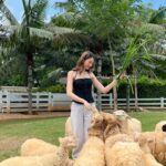 Neen Suwanamas Instagram - happy soul🫶🏻🍃☁️🥑🐑 (กางเกงเลอะเพราะโดนเต่าเหยียบฮะ)