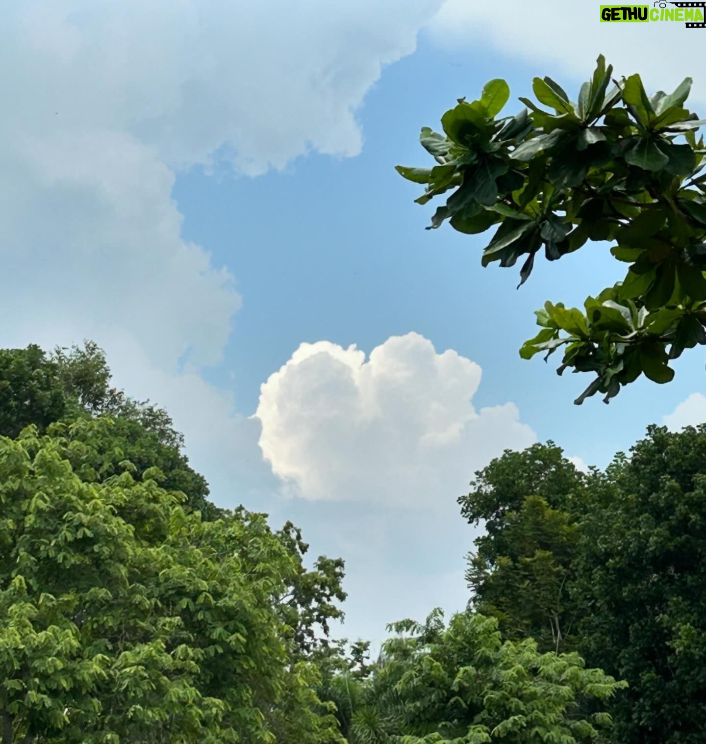 Neen Suwanamas - 3 Likes - happy soul🫶🏻🍃☁️🥑🐑
(กางเกงเลอะเพราะโดนเต่าเหยียบฮะ)