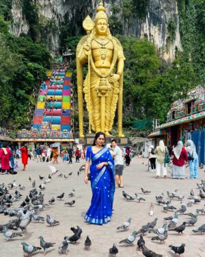Neethu mohan Instagram - Semi silk georgette dyeable sarees