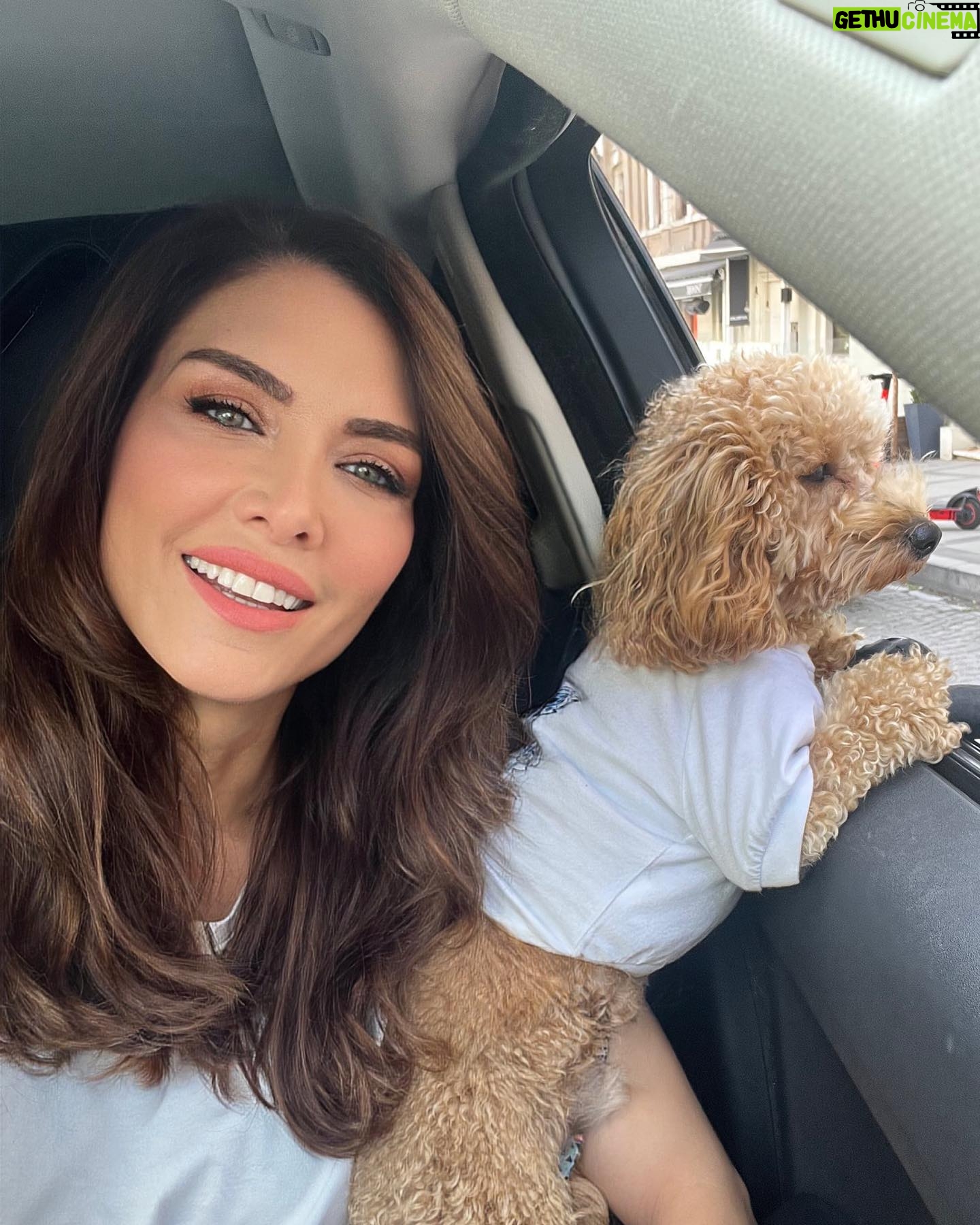 Nefise Karatay - 4.8K Likes - Benim meraklı oğlum #Miro 🧿❤️