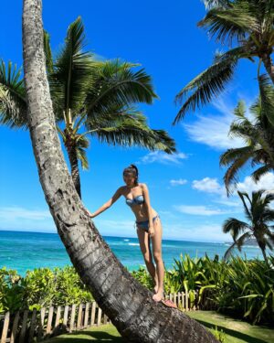 Nene Shida Instagram - 🌺🌴☀️
『週刊ポスト 2023年12月8日号』にて
ハワイ旅の紹介をさせていただきました☺︎

ハワイ最高でした‼︎