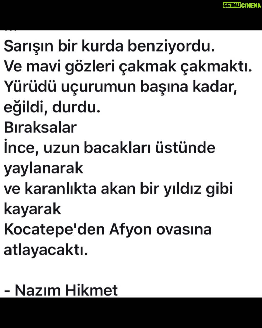 Nergis Kumbasar Instagram - 30Ağustos Zafer Bayramımız kutlu olsun,sonsuza dek🙏🏻🙏🏻🙏🏻#Atatürk
