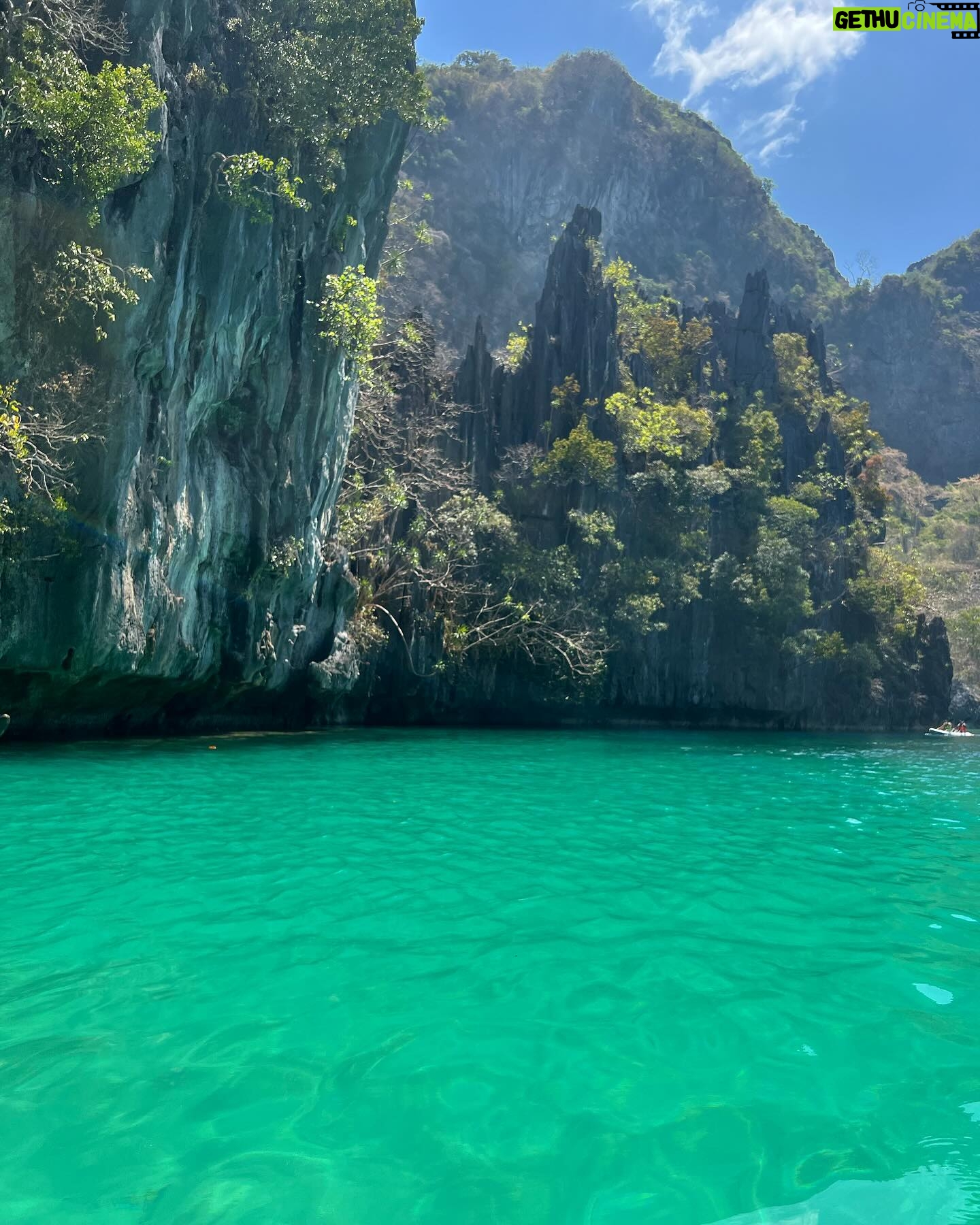 Neroli Meadows - 3.6K Likes - Palm trees = joy.
El Nido, Philippines