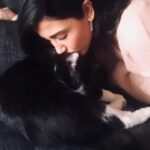 Neslihan Arslan Instagram - Buraya binlerce şey yazsam yine de az, hep az… Beni dünyasına aldığı için, birlikte sessiz sedasız nice paylaştıklarımız için, ben onu yalnız bırakmadığımı düşünürken asıl kendisi beni hiç yalnız bırakmadığı için, beni de yuvasından bildiği, gördüğü için….. Ne desem olmuyor… Benim için hep çok önemli, hep çok öncelikliydi… Hep de öyle kalacak… Bir daha görüşeceğiz, o yanaklar tekrar tekrar öpülecek, sıkıştırılacak, darlanacak :…) Hoşçakal o zamana kadar ❤️‍🩹 #Bob 🐾💙