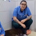 Neusa Borges Instagram - #sosriograndedosul | Toda ajuda é bem-vinda para o resgate e o cuidado de animais em Canoas (RS). #Repost @studiodsnowhair with @use.repost ・・・ URGENTE 🆘RS Pedimos a todos nossos clientes e amigos sua solidariedade. É hora de unirmos forças pelas pessoas, pelos animais, por Canoas, pelo nosso Rio Grande do Sul. Nós do Studio D, convidamos você a entrar nessa onda de solidariedade junto conosco, para levar um pouco de esperança ao coração do povo gaúcho e as famílias que precisam agora, mais do que nunca da nossa parceria. Se você puder doar, doe! Se você puder, compartilhar para que essa campanha de união, alcance um número máximo de pessoas possíveis, compartilhe. NÓS PRECISAMOS DE VOCÊS . . . Pix: queniagrangeiro@gmail.com Qualquer quantia será bem vinda. #RS