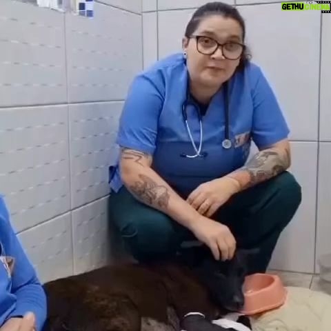 Neusa Borges Instagram - #sosriograndedosul | Toda ajuda é bem-vinda para o resgate e o cuidado de animais em Canoas (RS). #Repost @studiodsnowhair with @use.repost ・・・ URGENTE 🆘RS Pedimos a todos nossos clientes e amigos sua solidariedade. É hora de unirmos forças pelas pessoas, pelos animais, por Canoas, pelo nosso Rio Grande do Sul. Nós do Studio D, convidamos você a entrar nessa onda de solidariedade junto conosco, para levar um pouco de esperança ao coração do povo gaúcho e as famílias que precisam agora, mais do que nunca da nossa parceria. Se você puder doar, doe! Se você puder, compartilhar para que essa campanha de união, alcance um número máximo de pessoas possíveis, compartilhe. NÓS PRECISAMOS DE VOCÊS . . . Pix: queniagrangeiro@gmail.com Qualquer quantia será bem vinda. #RS