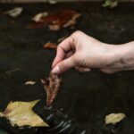 Neva Leoni Instagram - È già finito l’autunno Ph @adrianabbresciabbry