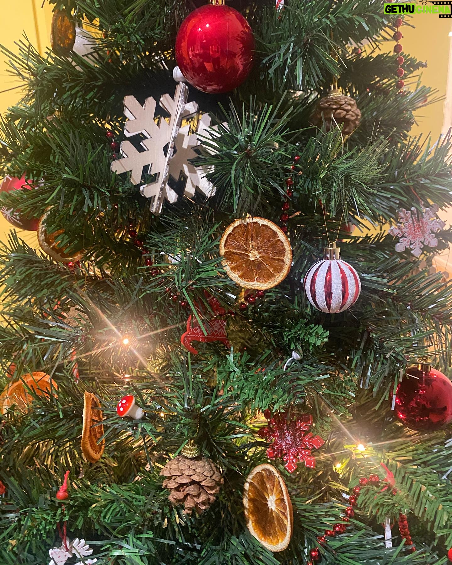 Neva Leoni Instagram - Riassunto di una settimana da infermierina per un meraviglioso uomo febbricitante ♥️🤒 (Ho messo le arance sull’albero)
