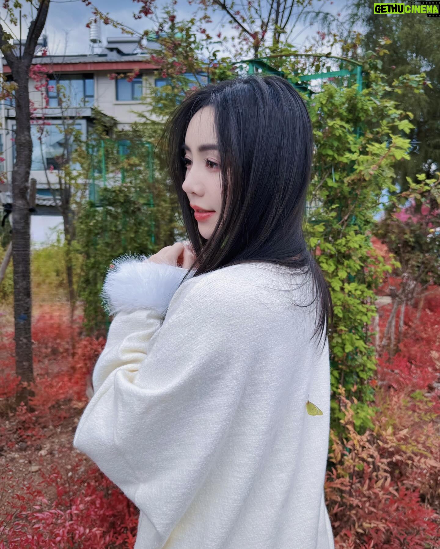 Nguyễn Quỳnh - 5.1K Likes - E ấy cứ đậu trên người tui và k chịu bay đi cho tới khi tui phải lên xe di chuyển 🦋🦋🦋yêu em