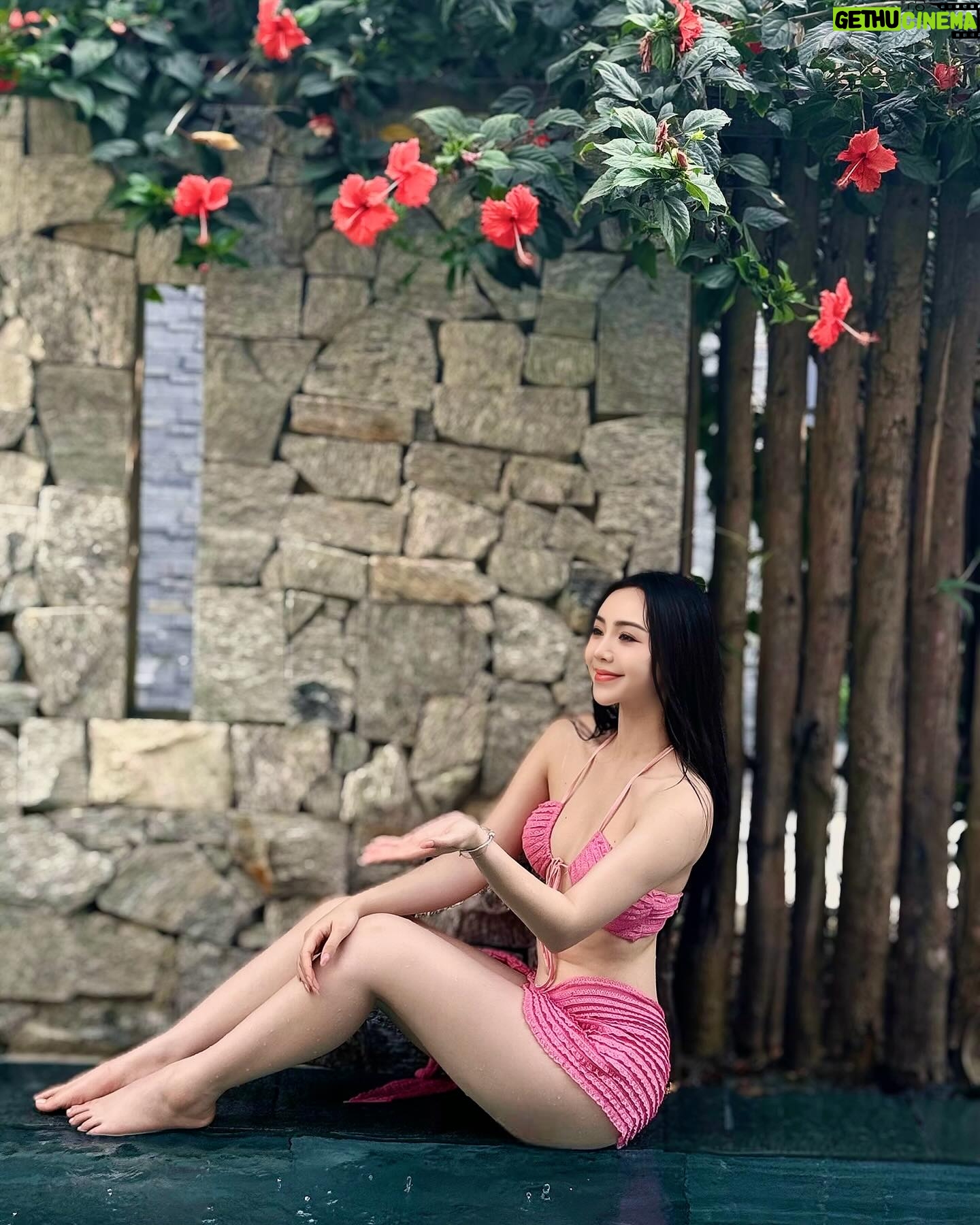 Nguyễn Quỳnh - 7.3K Likes - 🌸🌸🌸