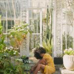 Nia Pettitt Instagram - Who would’ve known that loving and embracing my natural hair would lead me to embracing every part of myself? I love how my hair has empowered me to rock every curl for what it is. Reflecting on this journey made me realise that my hair has evolved with me from relaxing my hair to hiding it and then letting it flourish into this huge mane, my hair tells my story from girl to woman. Using @OGXBeautyUK helps me keep my curls hydrated and moisturised as I galavant through life on any occasion. #Ad 🦋✨💖