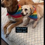 Nia Vardalos Instagram - 🌈