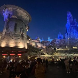 Nia Vardalos Instagram - Thank you @disneyland you are magic. ⭐️⭐️⭐️⭐️⭐️🥰 and a special kiss to my pals @johnstamos & @caitlinskybound for the hookup!