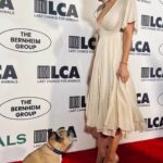 Nicky Whelan Instagram - My fav event of the year @lc4a 40 years of incredible game changing work led by @chrisderoseofficial I love you guys with all my heart. #nevergiveup #animalrescue ❤️